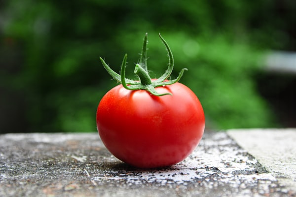 Kolorowe pomidory cherry